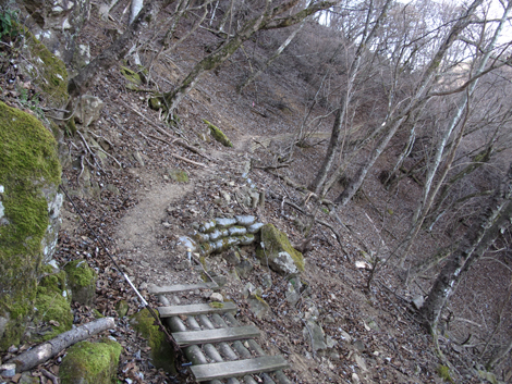 20190108hike (114)